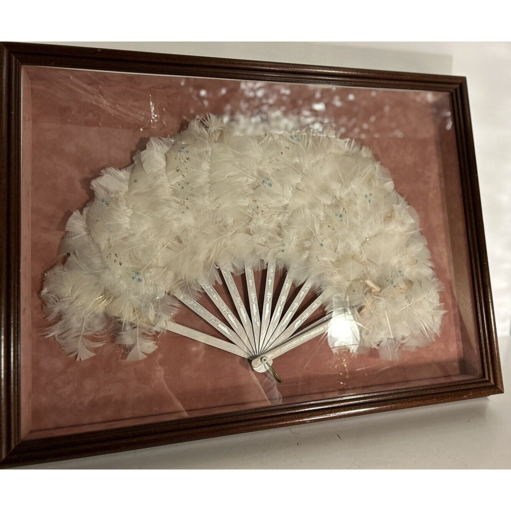 Antique Feather Fan Mounted to Shadow Box of Cherry Loaned by Dorothy Jacobs